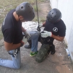 Curso Rappel Operacional Tático (Brasília - DF) 05-06-2016