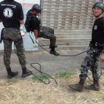 Curso Rappel Oper. Tático 05-09-2015