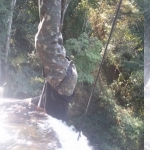 Passeio na Cachoeira do Tororó - Brasília DF 17-07-2016