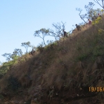 Cachoeira dos Borges, Guimarânea - MG 19-06-2016