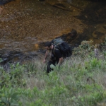 Curso e Passeio em Patos-MG 22-11-2015