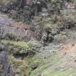 Cachoeira Água Fria 23-09-2016