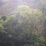 Cachoeira Água Fria 23-09-2016